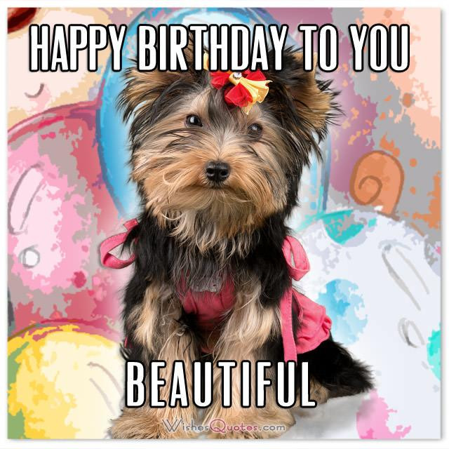 Funny Happy Birthday Quotes For Her
 The Funniest and most Hilarious Birthday Messages and Cards