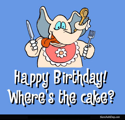 Funny Happy Birthday Quotes For Him
 Funny Happy Birthday Quotes For Him QuotesGram