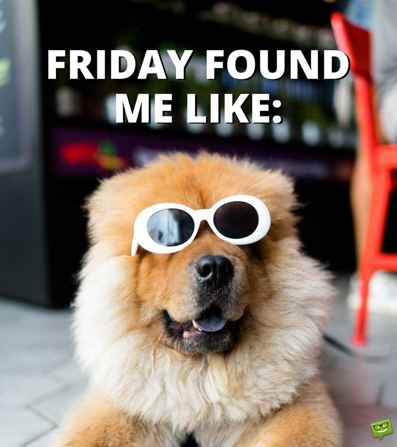 Funny Its Friday Quotes
 Most Funny Friday Quotes Sayings &
