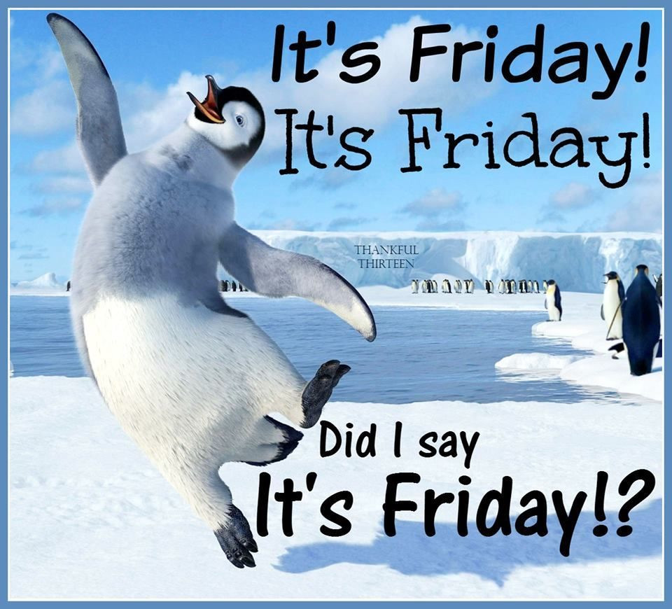 Funny Its Friday Quotes
 I Am So Excited Its Friday s and