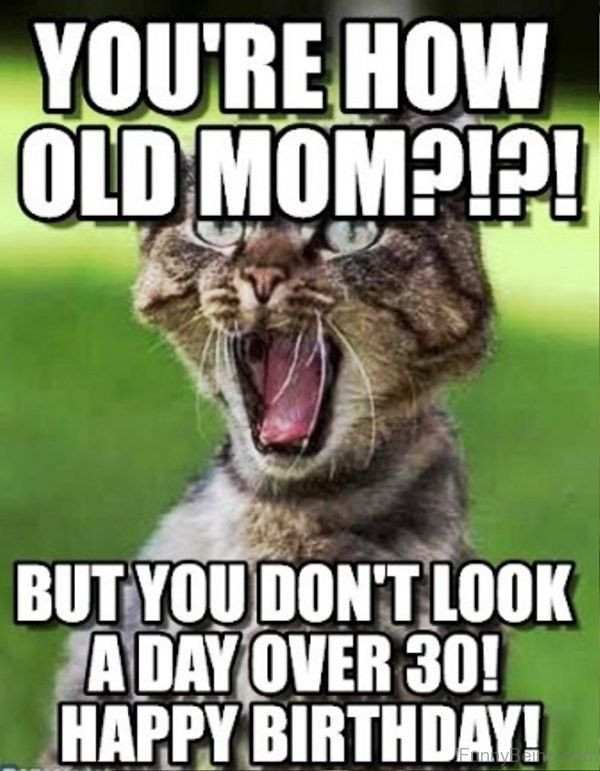 Funny Mom Birthday Quotes From Daughter
 Happy Birthday Mom Meme Quotes and Funny for Mother