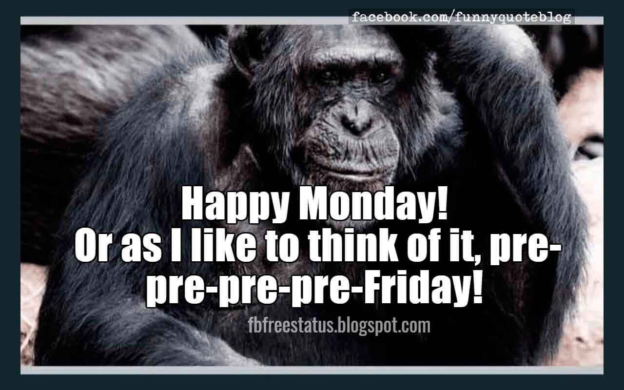 Funny Monday Quotes
 Funny Monday Quotes to be Happy on Monday Morning