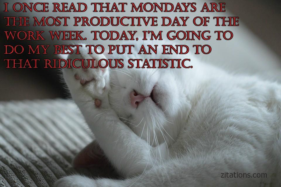 Funny Monday Quotes
 Funny Monday Morning Quotes To Cure The Monday Blues