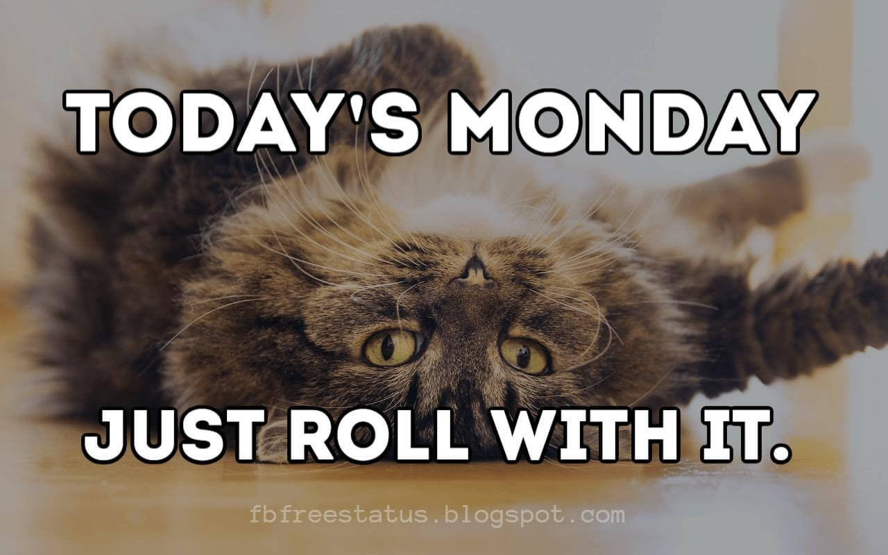 Funny Monday Quotes
 Monday Morning Quotes to be Happy on Monday Morning