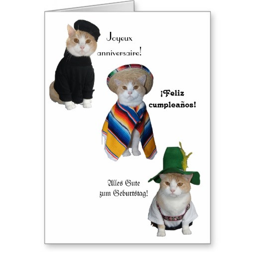 Funny Spanish Birthday Cards
 Funny Birthday Quotes In Spanish QuotesGram