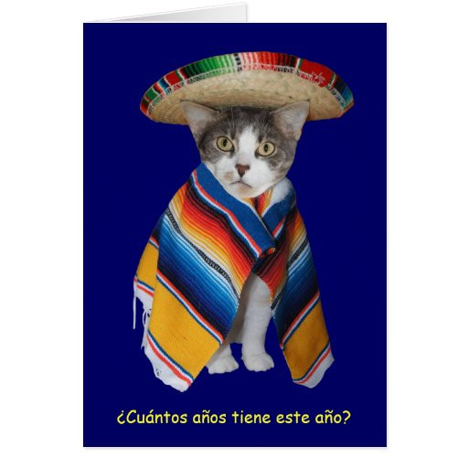 Funny Spanish Birthday Cards
 Funny Spanish Cat Kitty Birthday Greeting Card