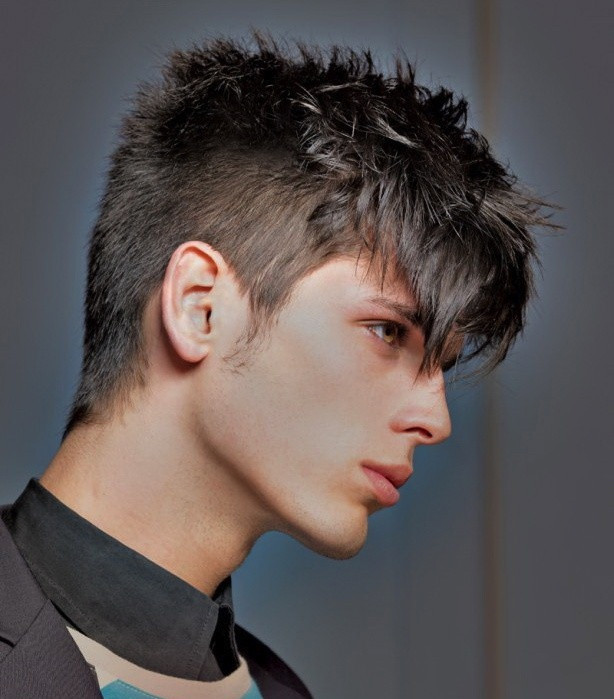 Gay Male Haircuts
 Top 10 Picture of Gay Hairstyle