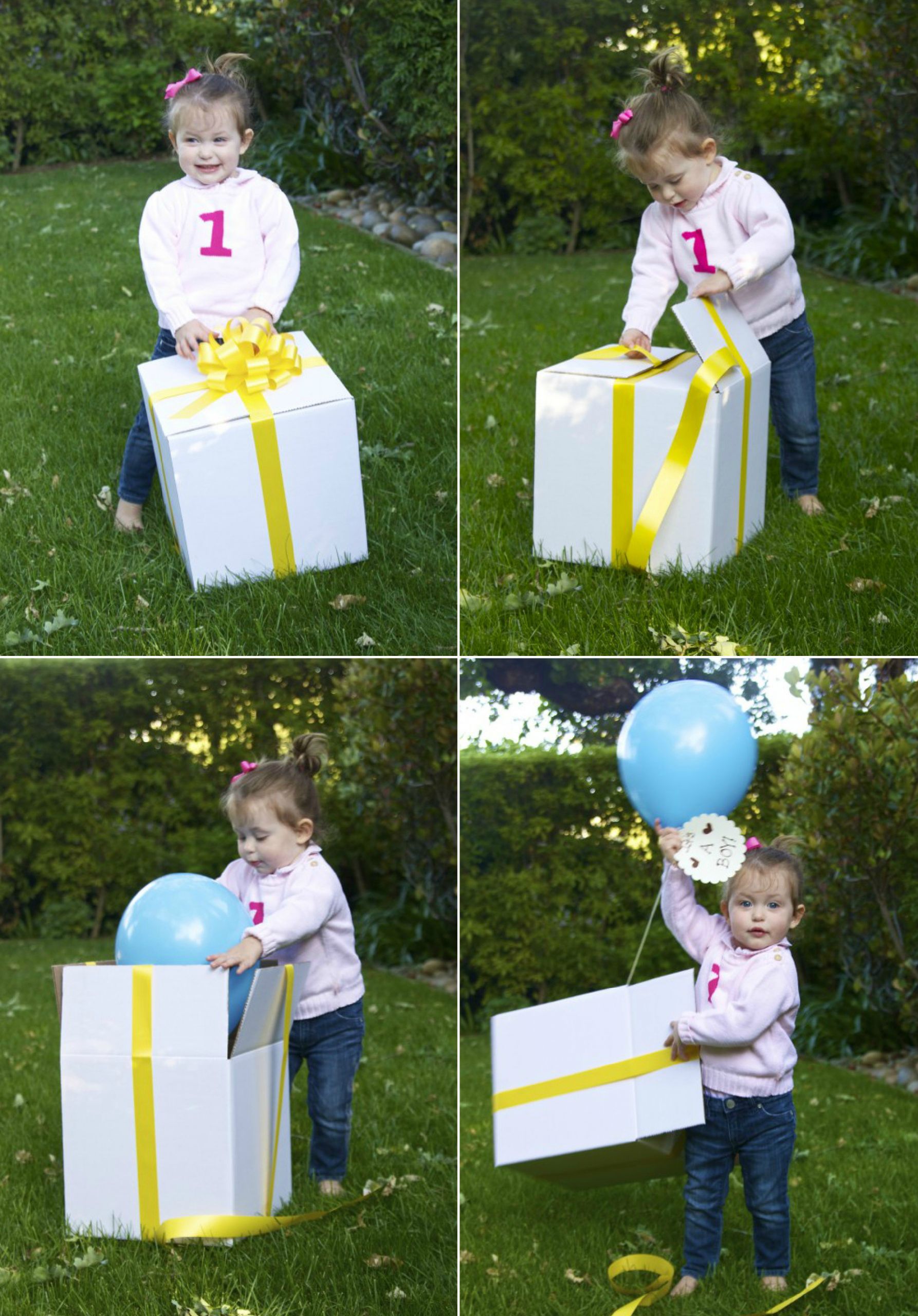 Gender Reveal Party Ideas For Family
 Fun Ways to Reveal Your Baby s Gender