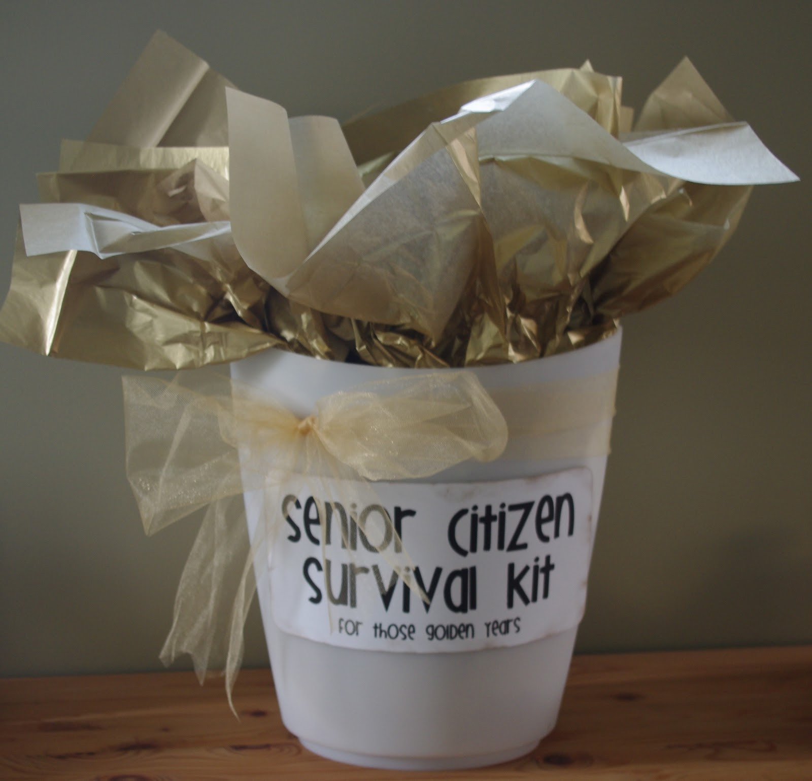 Gift Basket Ideas For Senior Citizens
 Creative "Try"als Senior Citizen Survival Kit