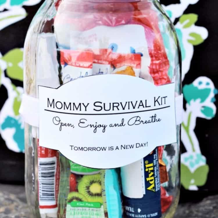 Gift Basket Ideas Mom
 10 Great DIY New Mom Gift Basket Ideas Meaningful Gifts