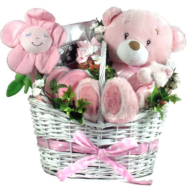 Gift Baskets For New Baby Girl
 It s A Girl Deluxe Baby Gorl Gift Basket