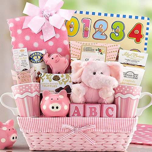 Gift Baskets For New Baby Girl
 New Baby Girl Basket