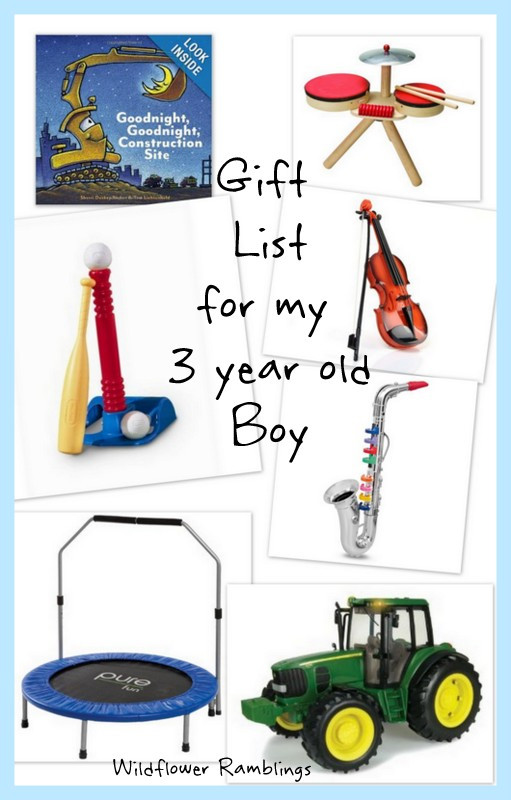 Gift Ideas For 3 Year Old Boys
 t ideas for my 3 year old boy Wildflower Ramblings