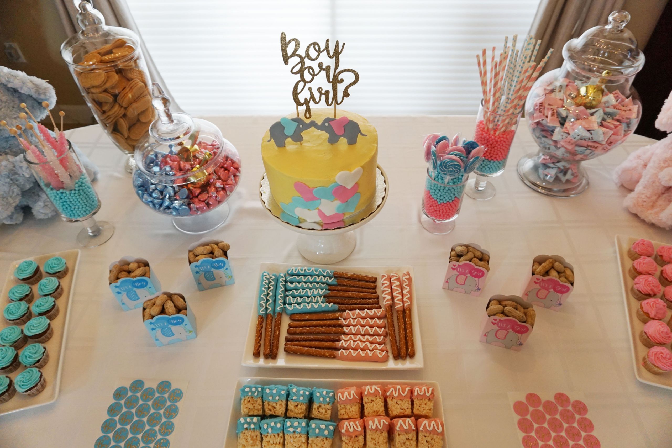 Gift Ideas For Baby Reveal Party
 Baby s Gender Reveal Party gen y girl