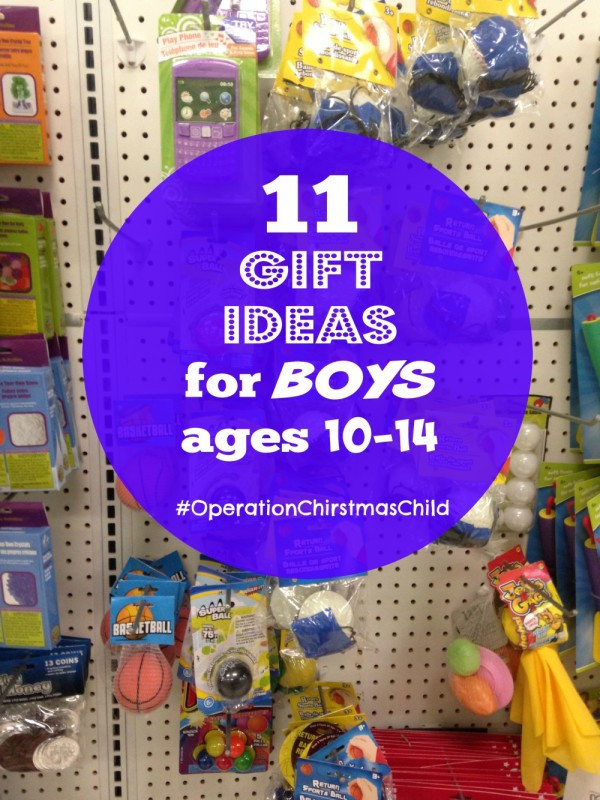 Gift Ideas For Boys Age 10
 Eleven Gift Ideas For Boys Ages 10 14 PDF printable