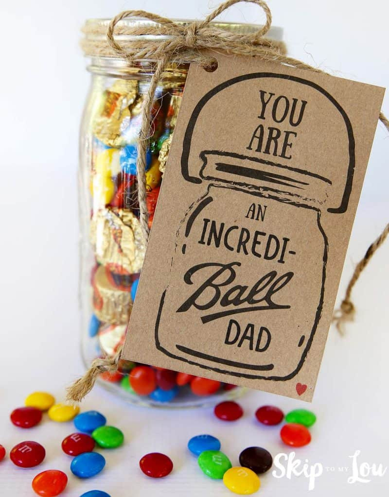 Gift Ideas For Father'S Day
 Incredi ball Father s Day Gift Idea