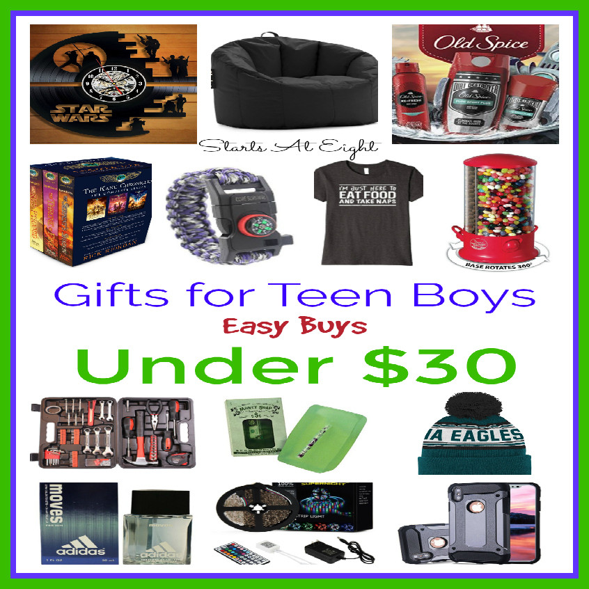 Gift Ideas Teen Boys
 Gifts for Teen Boys Easy Buys Under $30 StartsAtEight