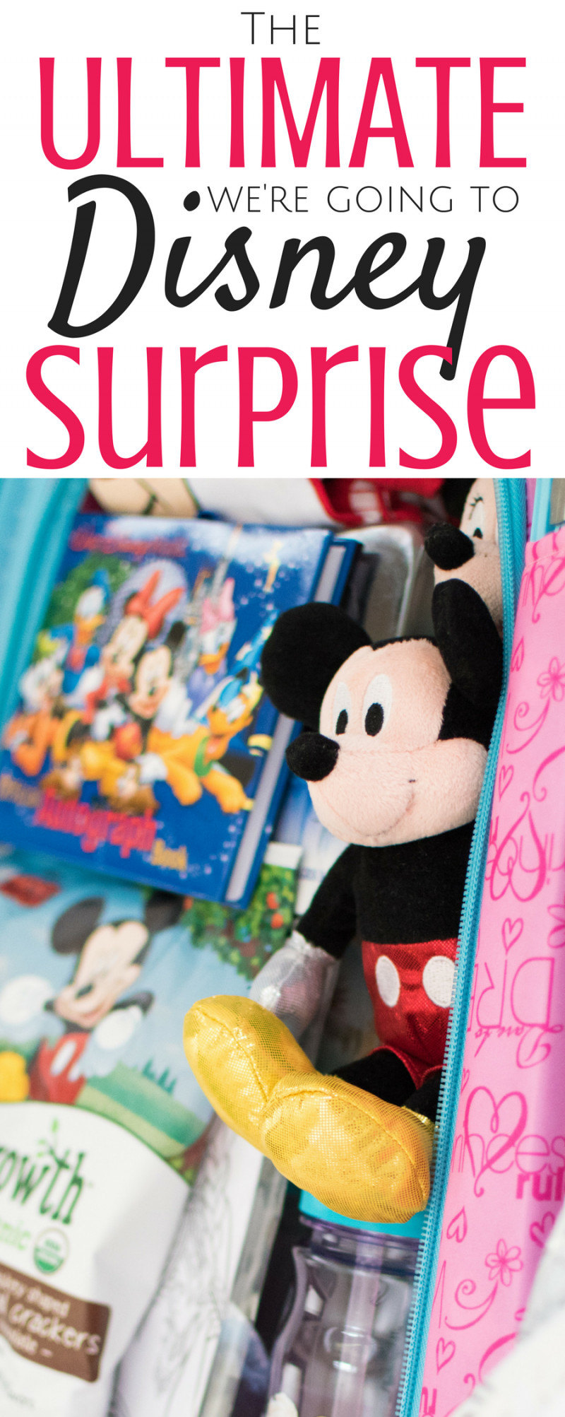 Gifts For Kids Going To Disney
 The Ultimate We re Going to Disney World Surprise