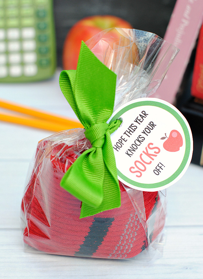 Gifts For School Kids
 Back to School Gift Idea for Kids – Fun Squared