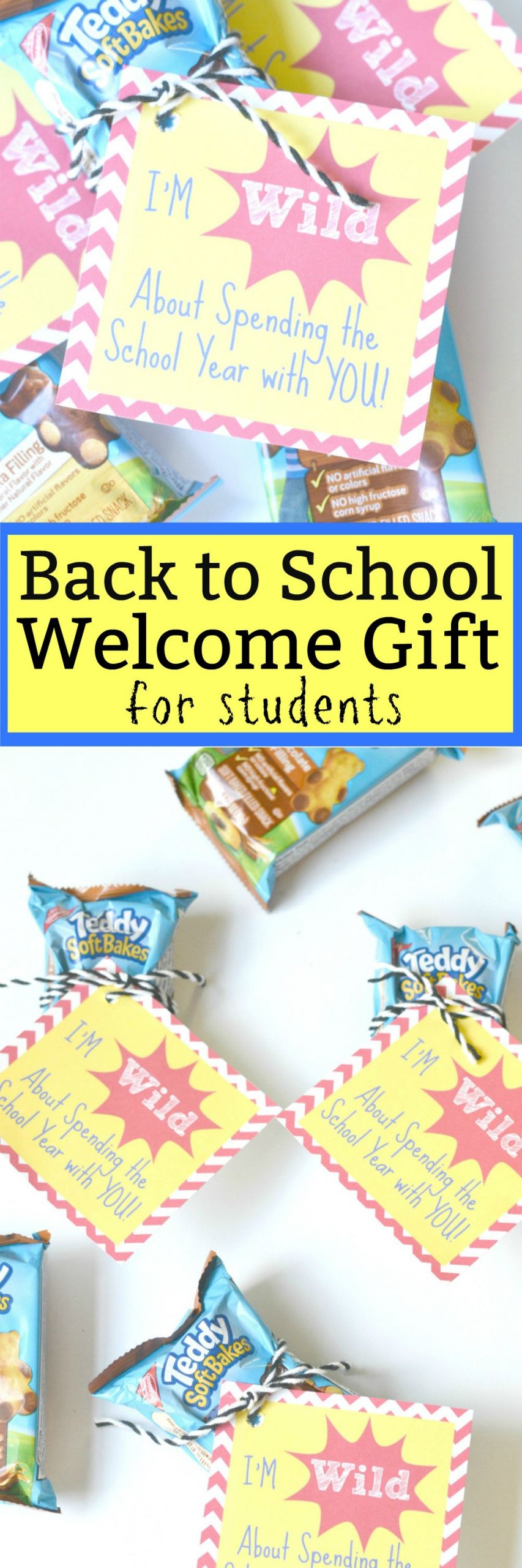 Gifts For School Kids
 Back to School Wel e Gift for Students Houston Mommy