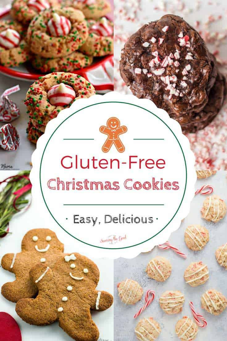 Gluten Free Holiday Cookie Recipes
 Gluten Free Christmas Cookies Recipes The best collection