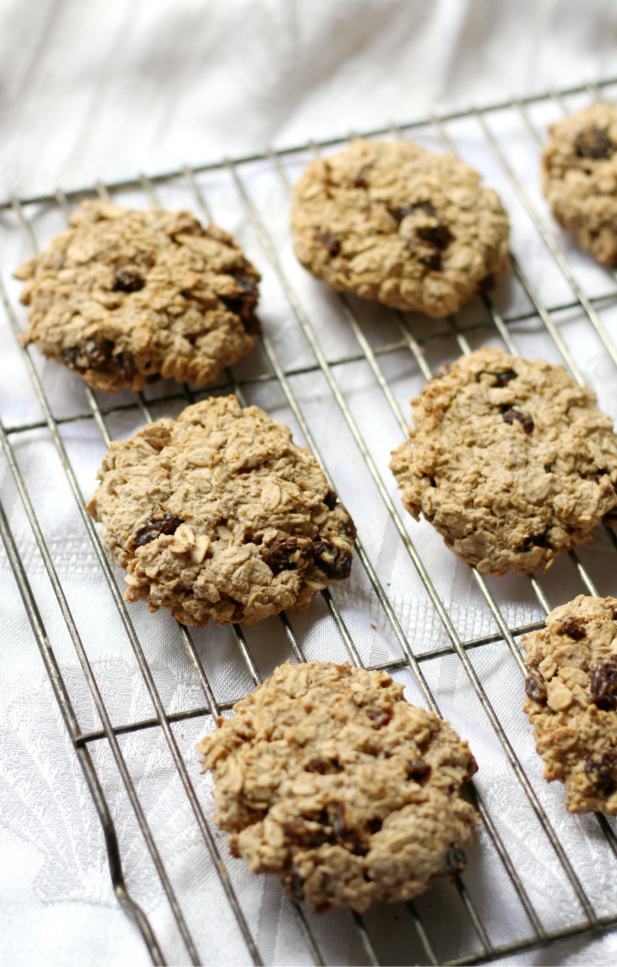 Gluten Free Vegan Oatmeal Raisin Cookies
 Chewy Gluten Free Oatmeal Raisin Cookies Allergy Free Vegan