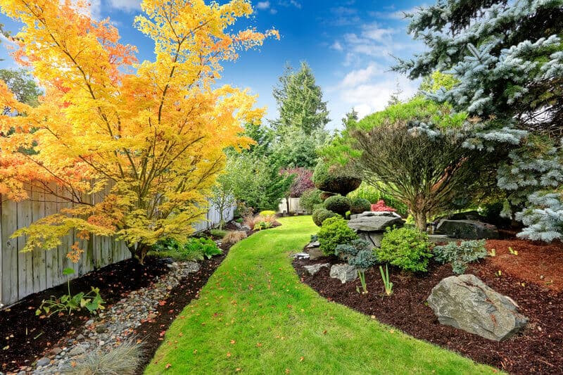 Good Backyard Trees
 Landscaping Ideas Backyard & Front Yard Decor DESIGNS