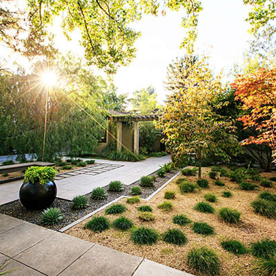 Good Backyard Trees
 24 great ideas for lawn free yards SFGate