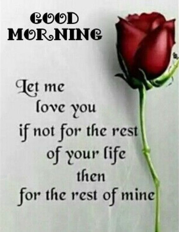 Good Morning I Love You Quotes For Her
 Best Good Morning Quotes Love Sayings Good Morning Let me