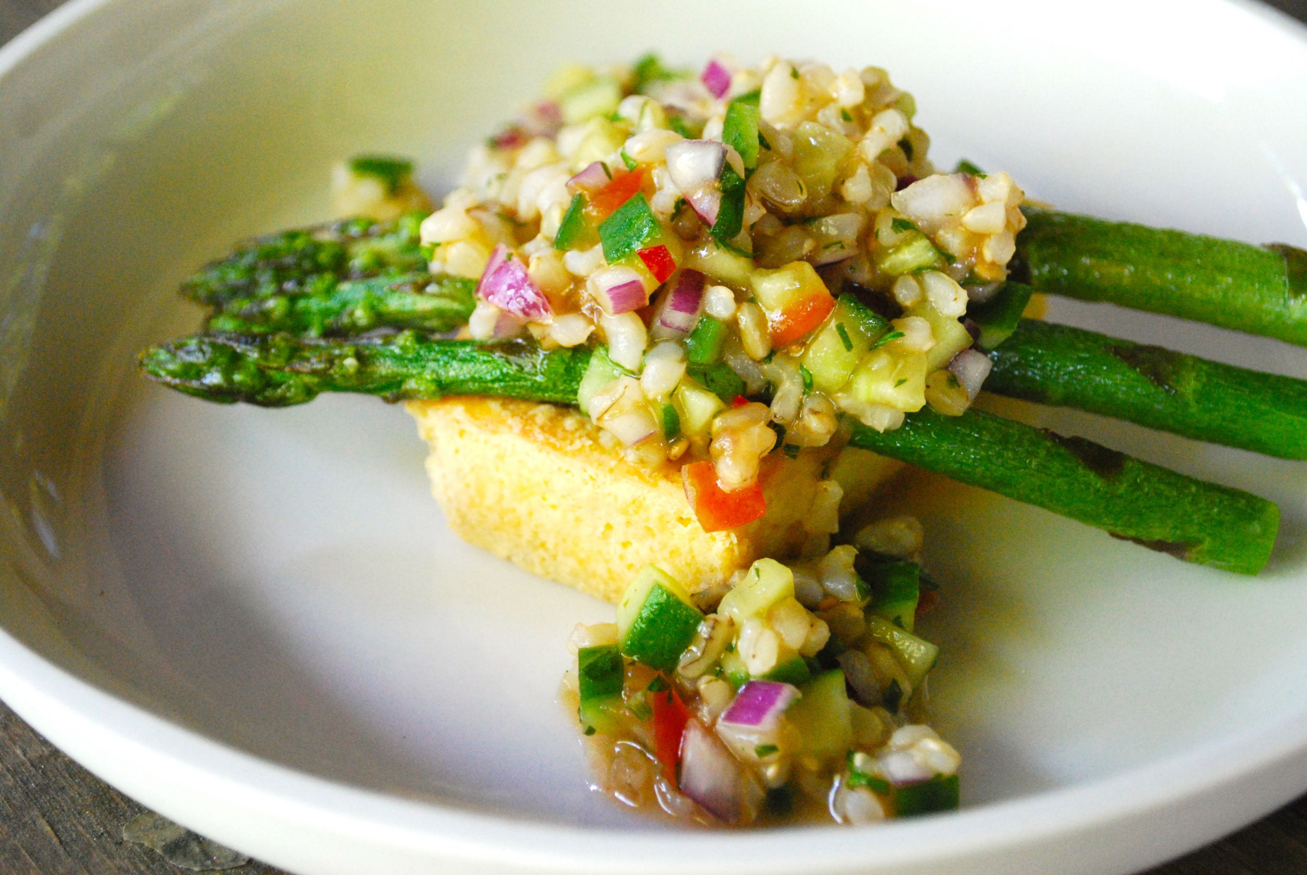 Gourmet Vegan Recipes
 deep fried tofu with brown rice salsa