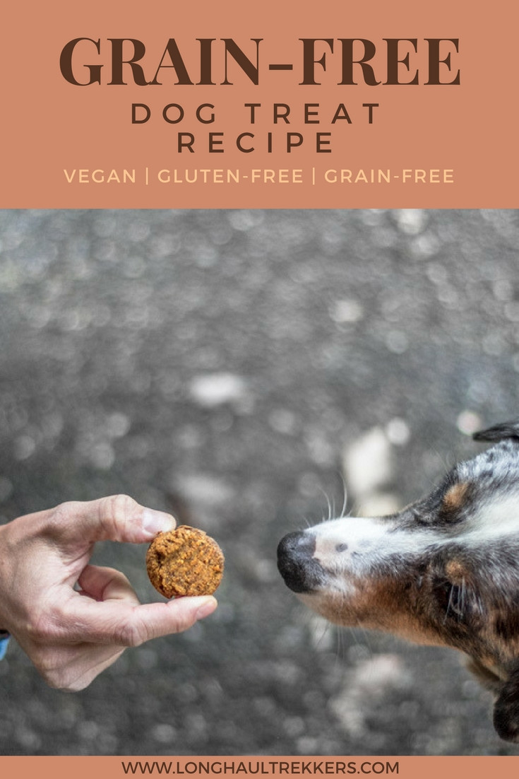 Grain Free Pumpkin Dog Treat Recipes
 Grain Free Dog Treat Recipe Pumpkin Cookies Long Haul