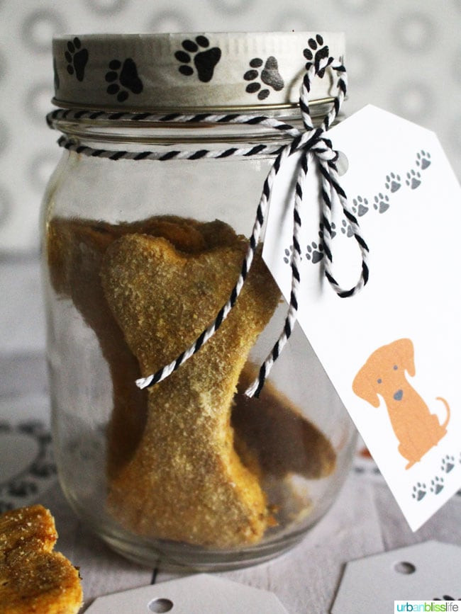 Grain Free Pumpkin Dog Treat Recipes
 Easy homemade peanut butter pumpkin grain free dog treats