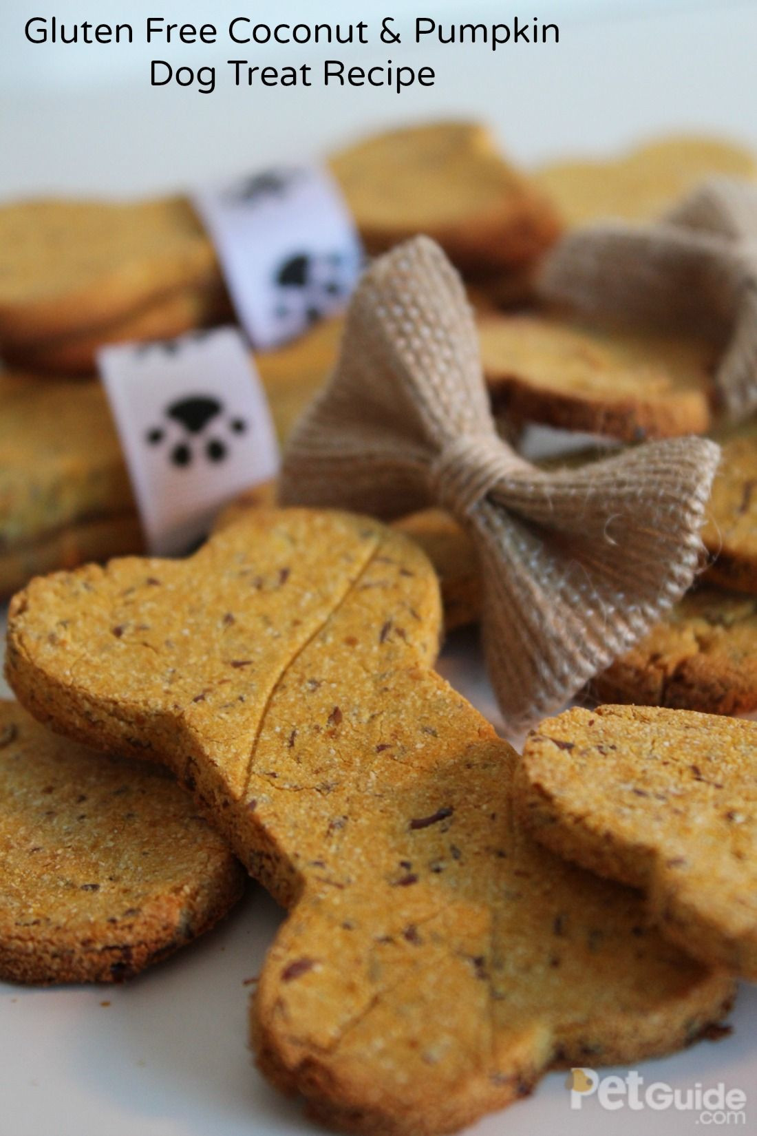 Grain Free Pumpkin Dog Treat Recipes
 Gluten Free Pumpkin Coconut Dog Treat Recipe