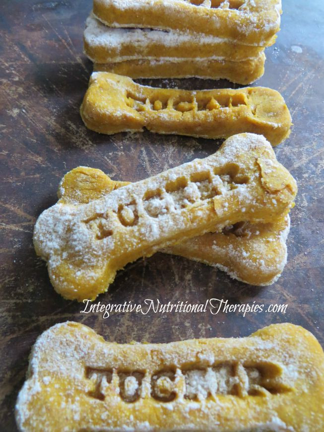 Grain Free Pumpkin Dog Treat Recipes
 The 25 Best Ideas for Grain Free Pumpkin Dog Treat Recipes