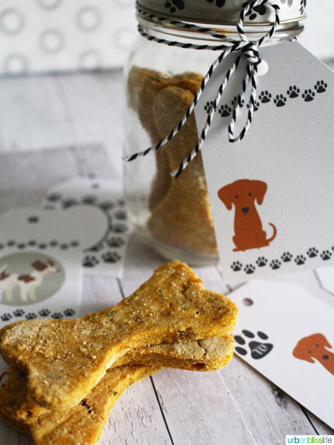 Grain Free Pumpkin Dog Treat Recipes
 Easy homemade peanut butter pumpkin grain free dog treats