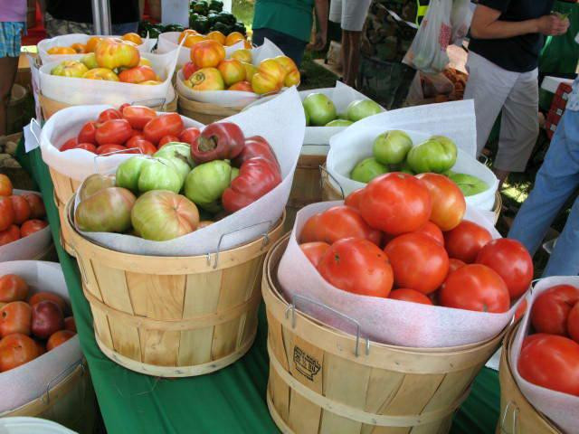 Grainger County Tomato Festival
 blogging the 16th annual Grainger County Tomato Festival