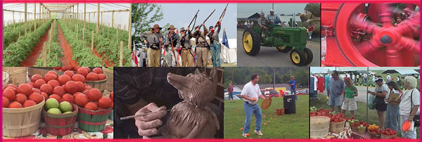 Grainger County Tomato Festival
 You Say Tomato I Say Grainger County