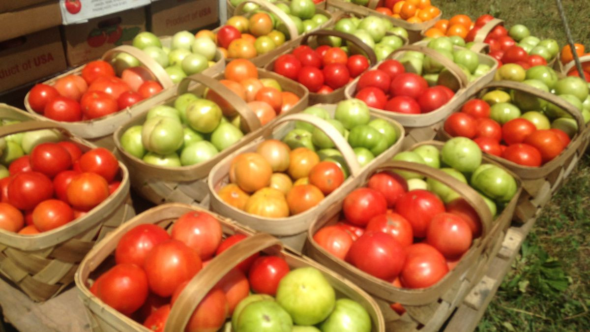 Grainger County Tomato Festival
 Tomato festival this weekend in Grainger County