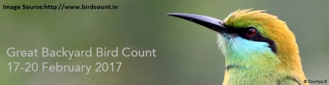 Great Backyard Bird Count
 GBBC 2017 bird species of India are in HP