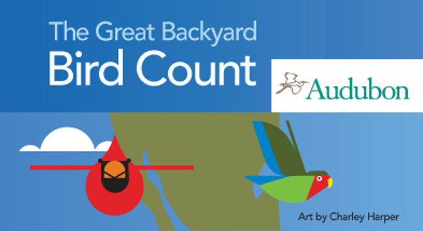 Great Backyard Bird Count
 The Great Backyard Bird Count Chapelboro