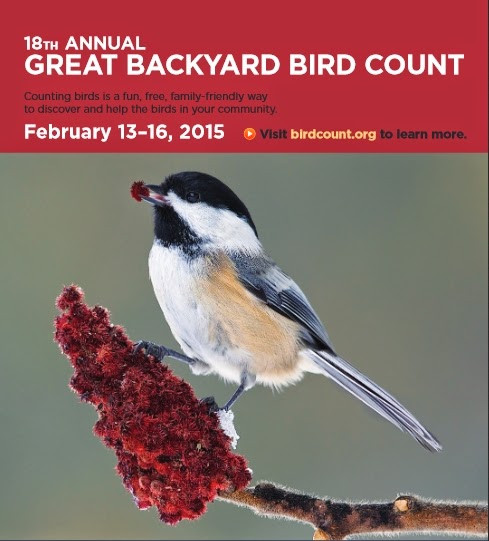 Great Backyard Bird Count
 Wild Birds Unlimited Preparing for the big