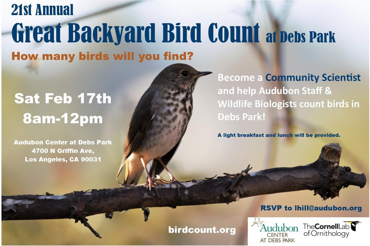 Great Backyard Bird Count
 21st Annual Great Backyard Bird Count