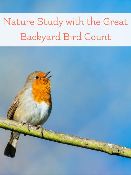 Great Backyard Bird Count
 Bird Watching and the Great Backyard Bird Count