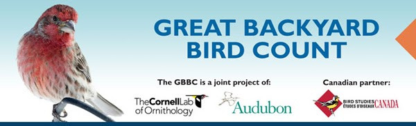 Great Backyard Bird Count
 Audubon South Carolina Great Backyard Bird Count Begins