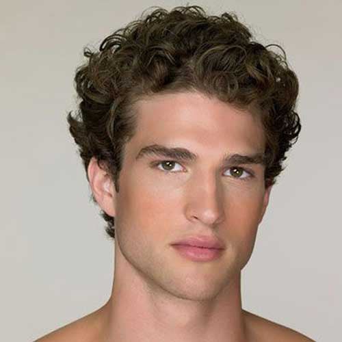 Hairstyles For Curly Hair Males
 20 Short Curly Hairstyles for Men