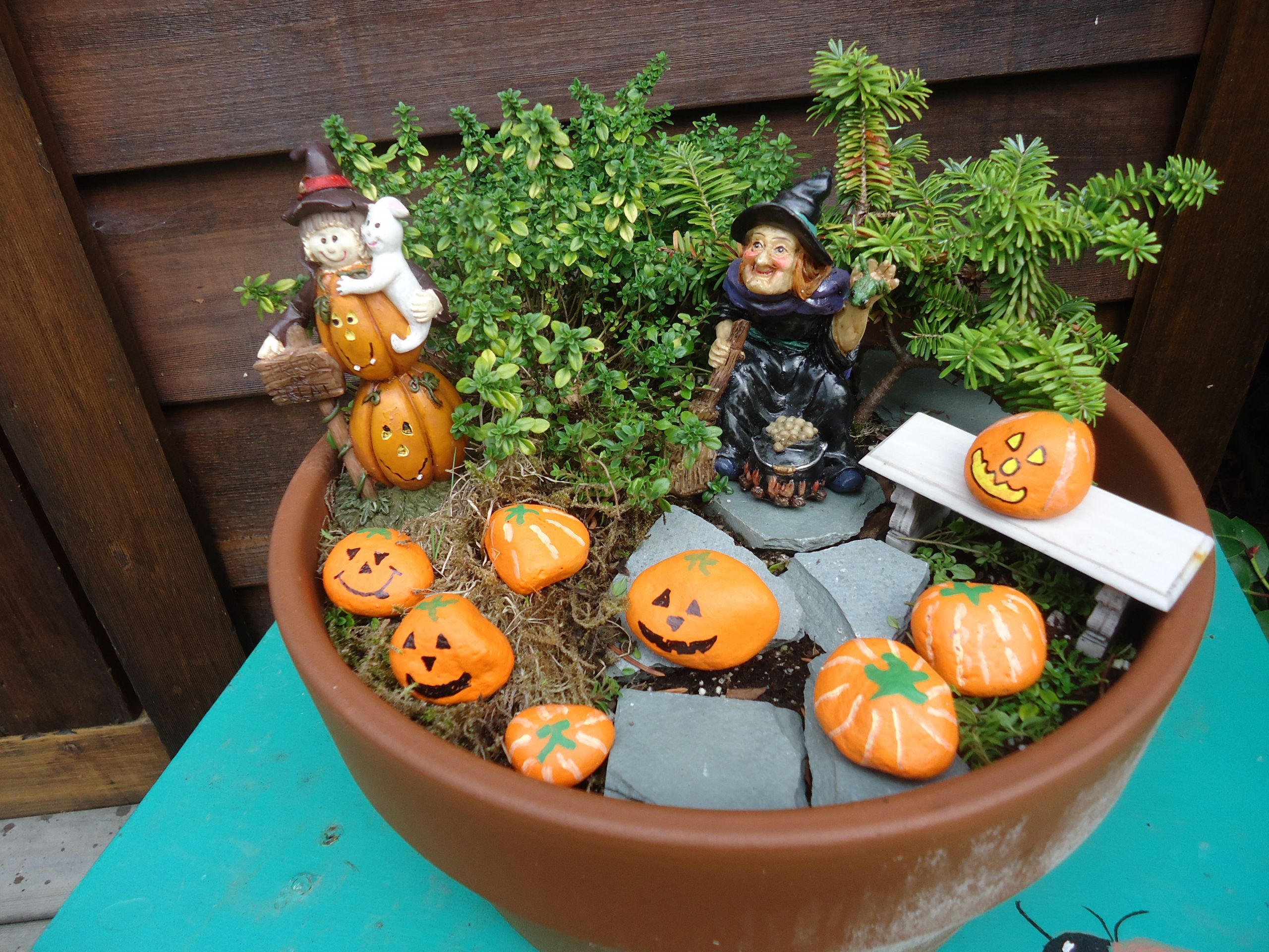 Halloween Fairy Garden
 Creating a Halloween Themed Miniature Garden