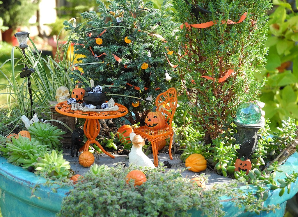 Halloween Fairy Garden
 Halloween in the Miniature Garden – The Mini Garden Guru