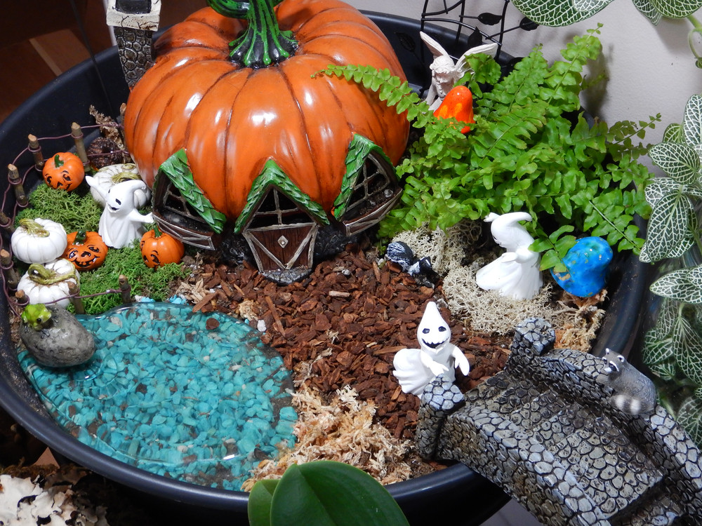 Halloween Fairy Garden
 Halloween Fairy Gardens — Hole s Greenhouses