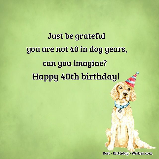 Happy 40th Birthday Quotes Funny
 40th Birthday Wishes Funny & Happy Messages & Quotes for
