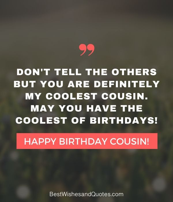 Happy Birthday Cousin Funny Quotes
 Happy Birthday Cousin Quotes